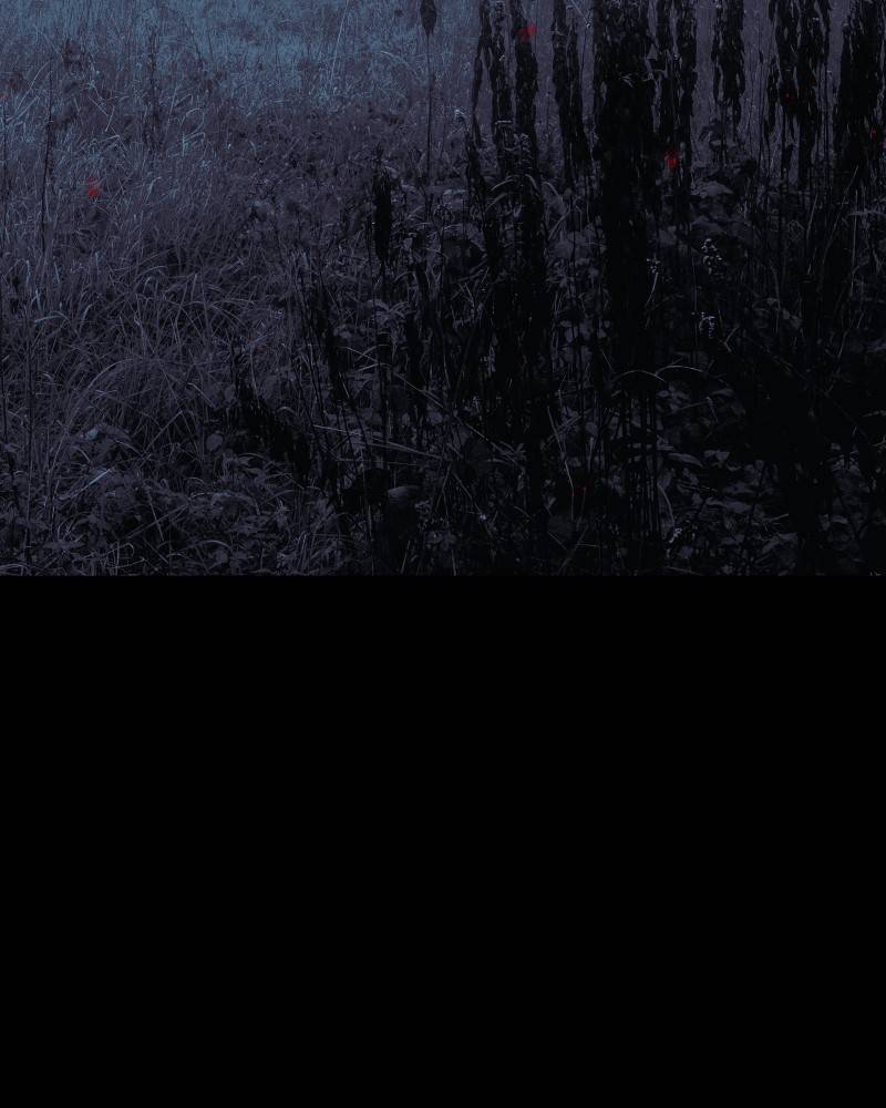 I’m the Grim Reaper Chapter 74 - Page 6