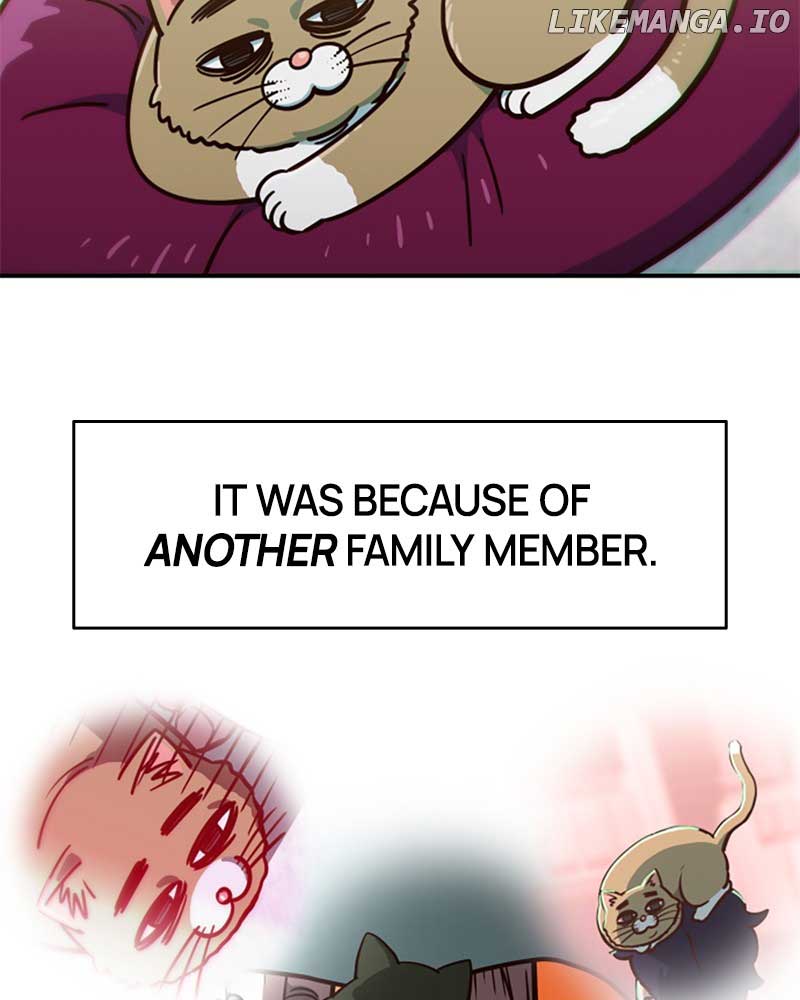 I’m the Only One Bullied by the New High School Student Chapter 27 - Page 158