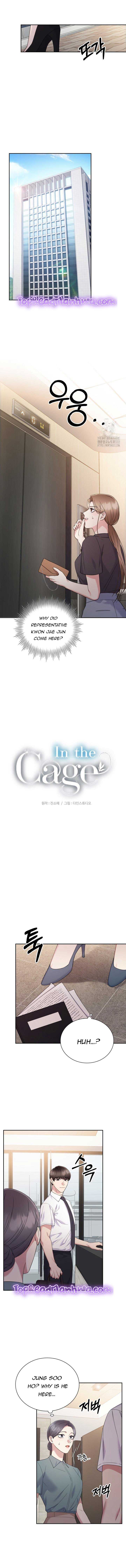 In the Cage Chapter 14 - Page 3