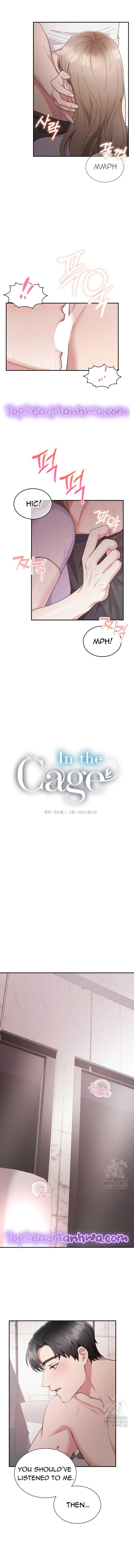 In the Cage Chapter 4 - Page 7
