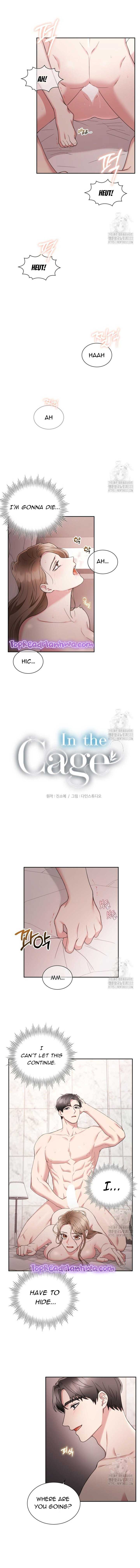 In the Cage Chapter 5 - Page 4