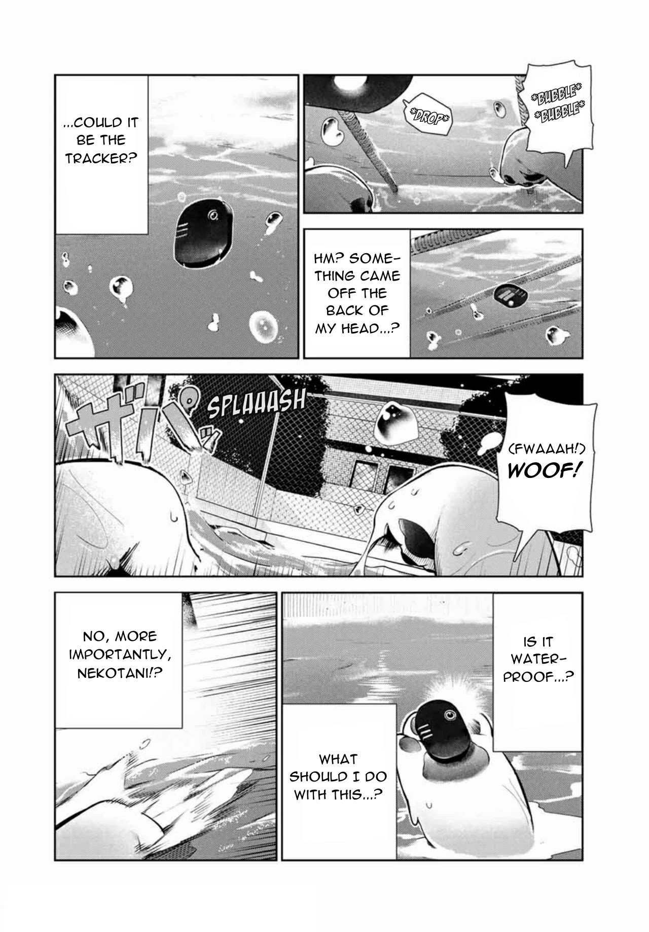 Inu ni Nattara Suki na Hito ni Hirowareta Chapter 14 - Page 6
