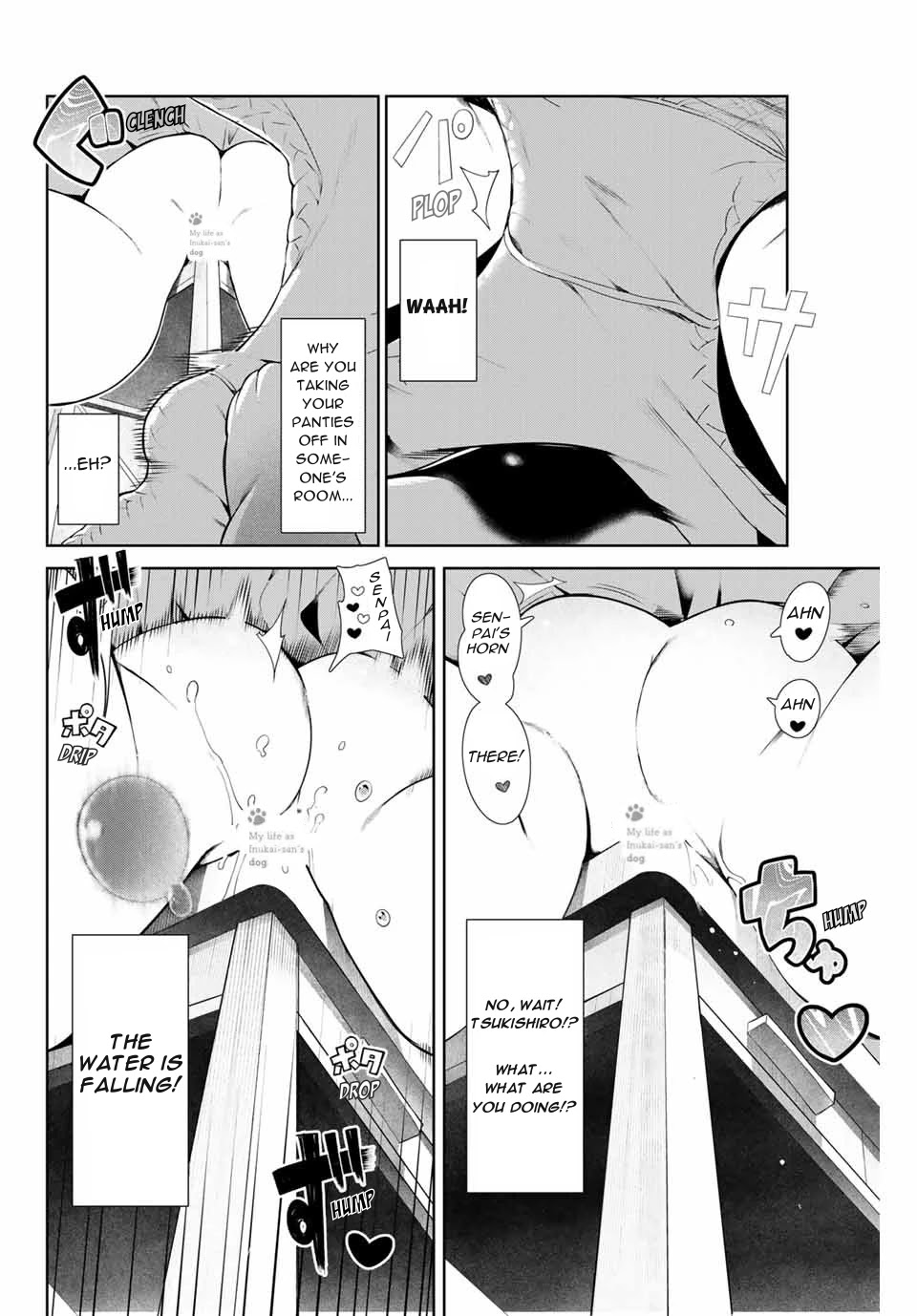 Inu ni Nattara Suki na Hito ni Hirowareta Chapter 8 - Page 8