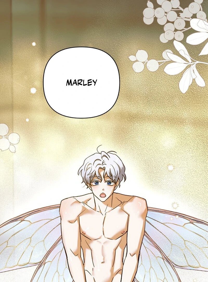Is It a Problem If the Male Lead Is Small? Chapter 5 - Page 1