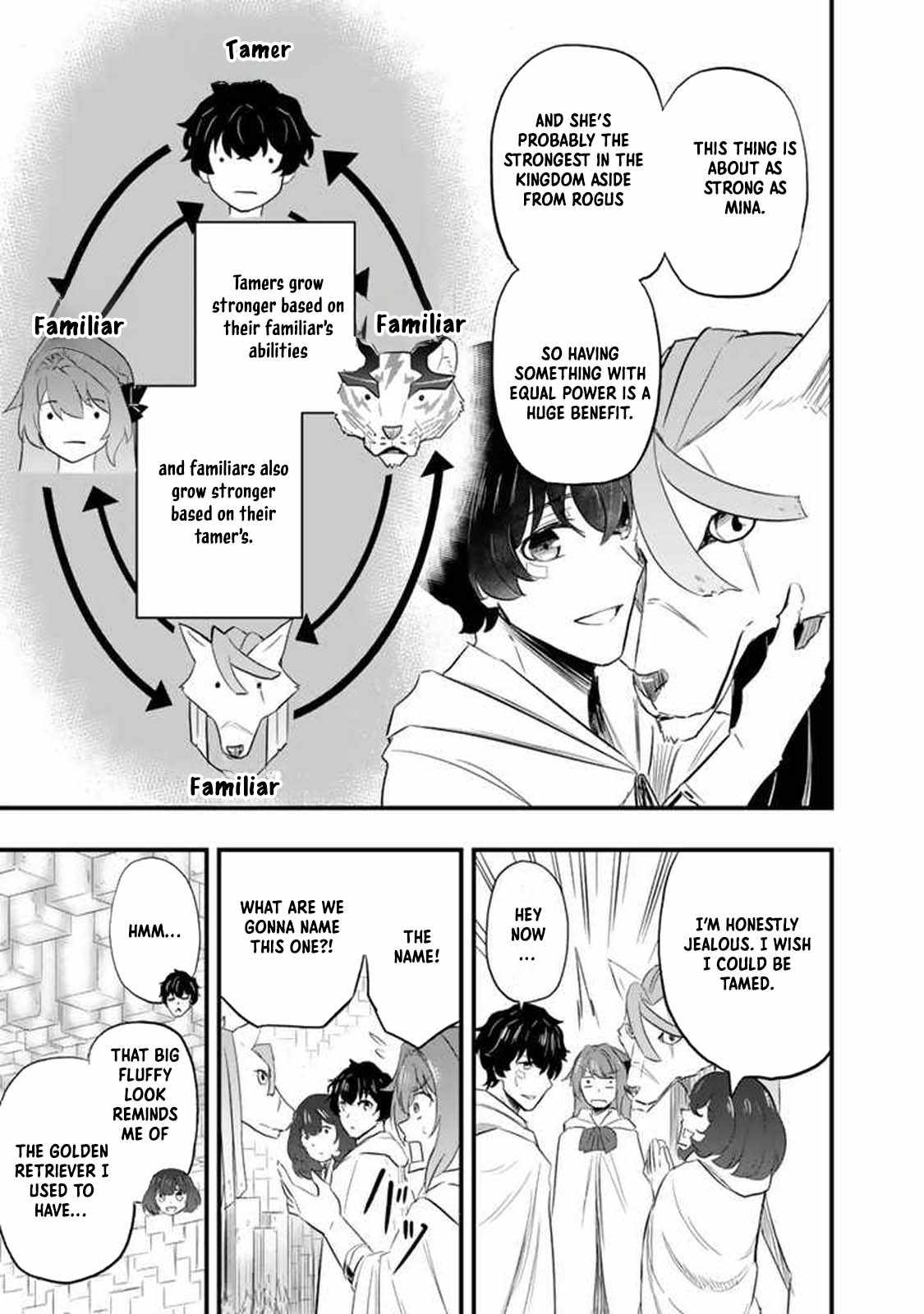Isekai de Teimu Shita Saikyou no Tsukaima wa, Osananajimi no Bishoujo deshita Chapter 5 - Page 17