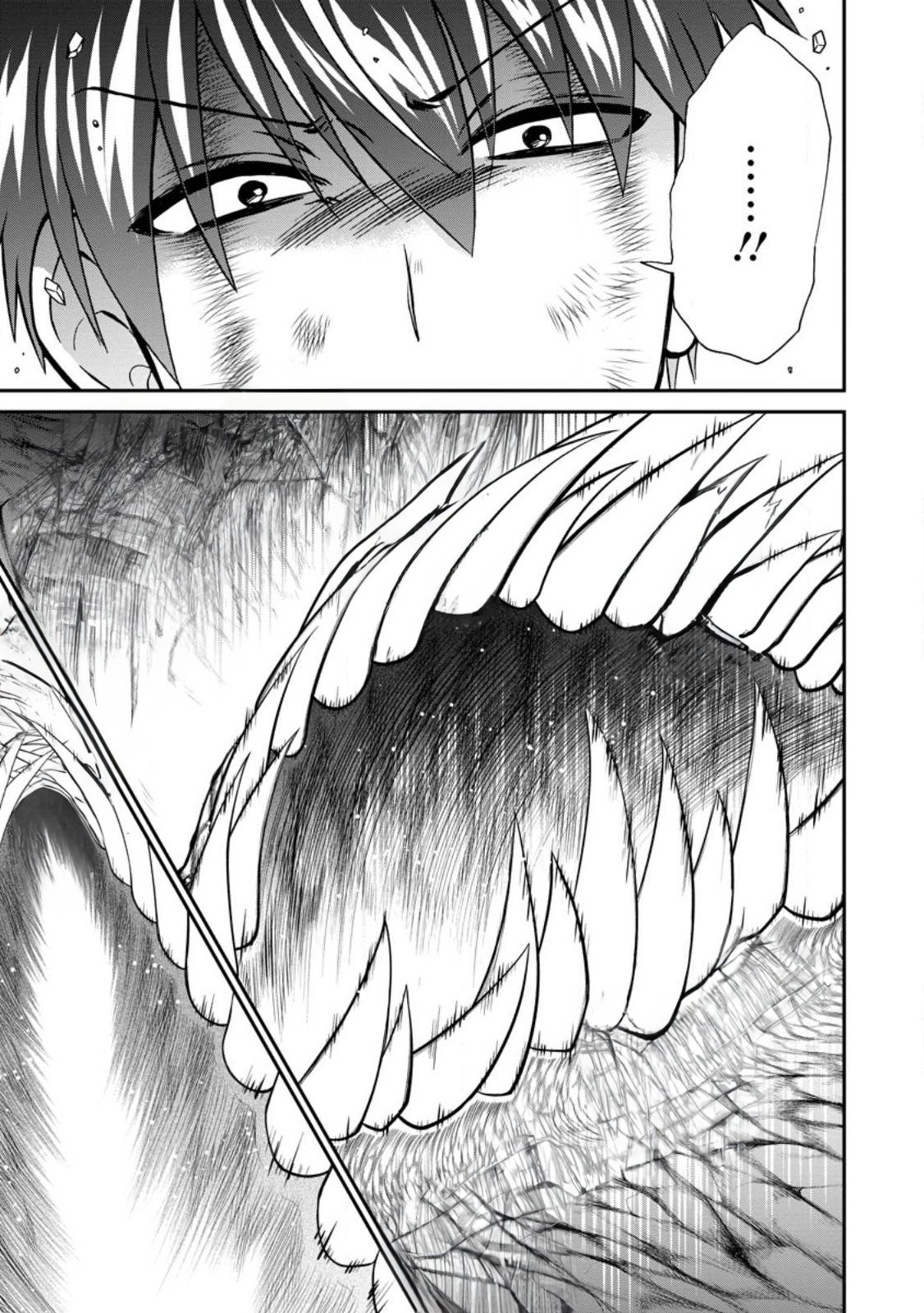Isekai Shoukan wa Nidome Desu Chapter 44 - Page 17