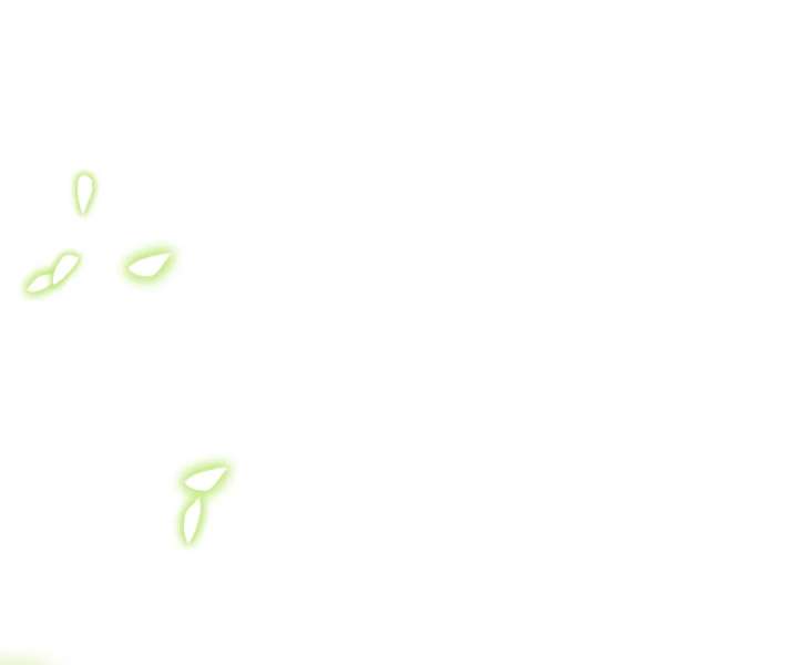 It Is Said That I Am a Fairy Princess Chapter 19 - Page 78