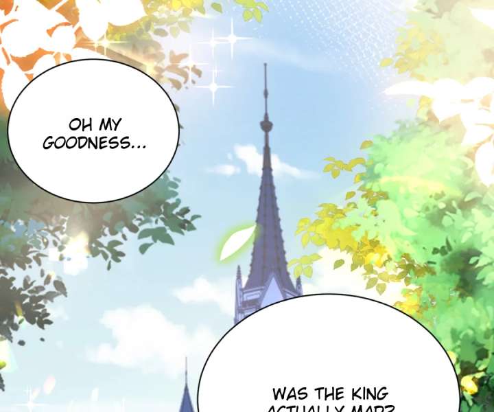 It Is Said That I Am a Fairy Princess Chapter 20 - Page 2