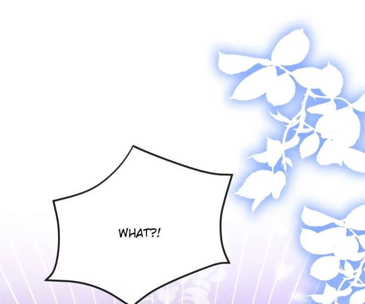 It Is Said That I Am a Fairy Princess Chapter 33 - Page 1