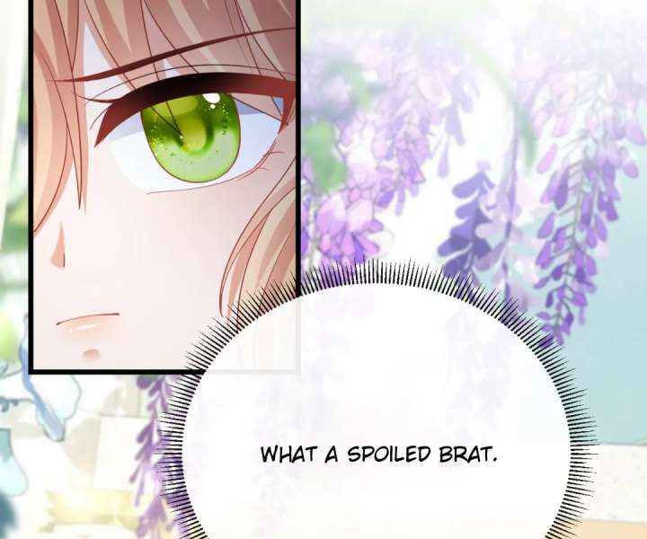 It Is Said That I Am a Fairy Princess Chapter 45 - Page 26