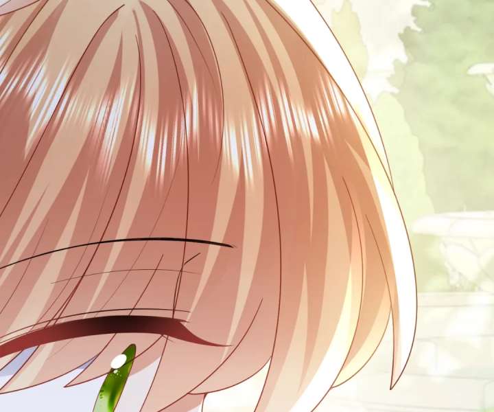 It Is Said That I Am a Fairy Princess Chapter 45 - Page 61