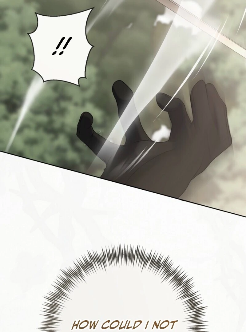 It Looks Like I’ve Fallen Into the World of a Reverse Harem Game Chapter 156 - Page 114