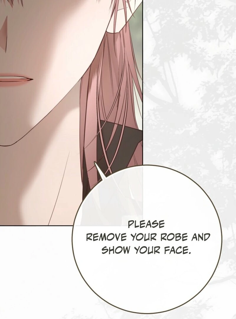 It Looks Like I’ve Fallen Into the World of a Reverse Harem Game Chapter 156 - Page 120