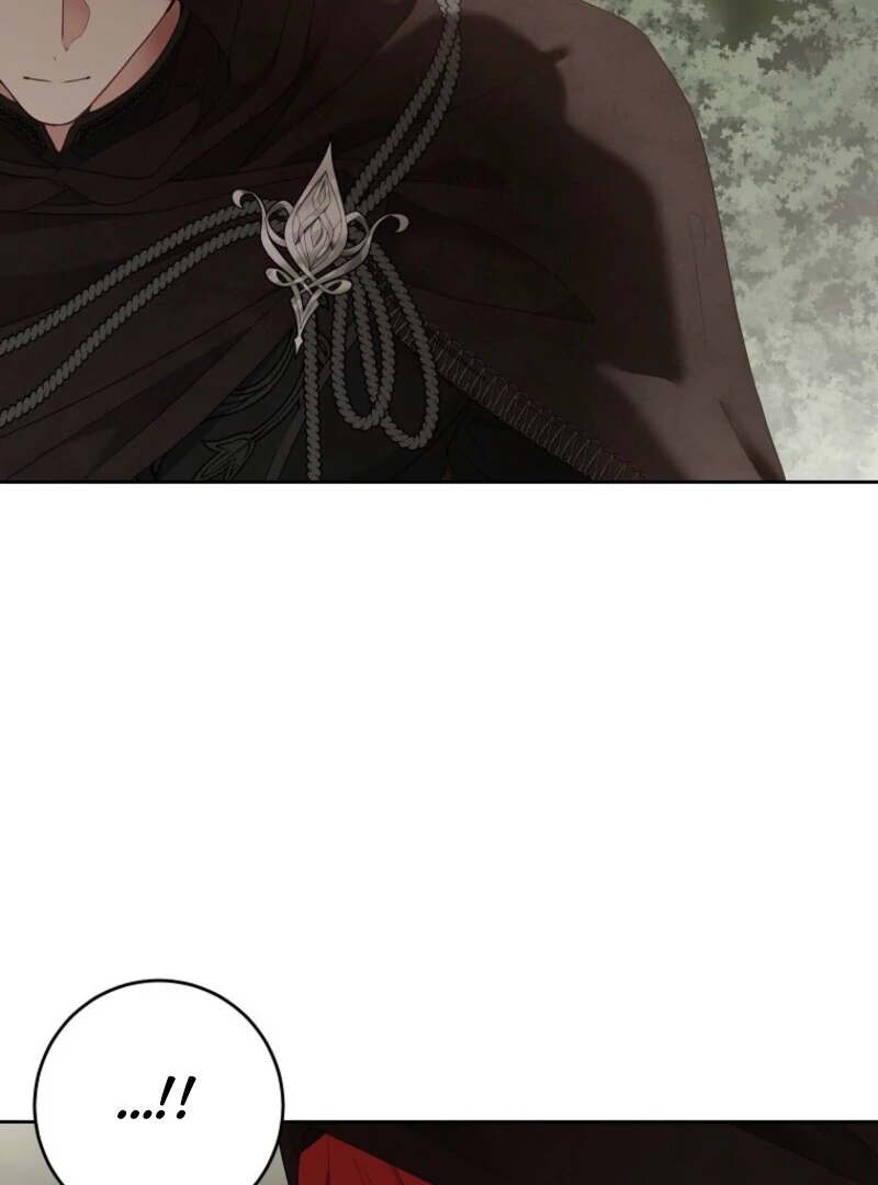 It Looks Like I’ve Fallen Into the World of a Reverse Harem Game Chapter 156 - Page 81