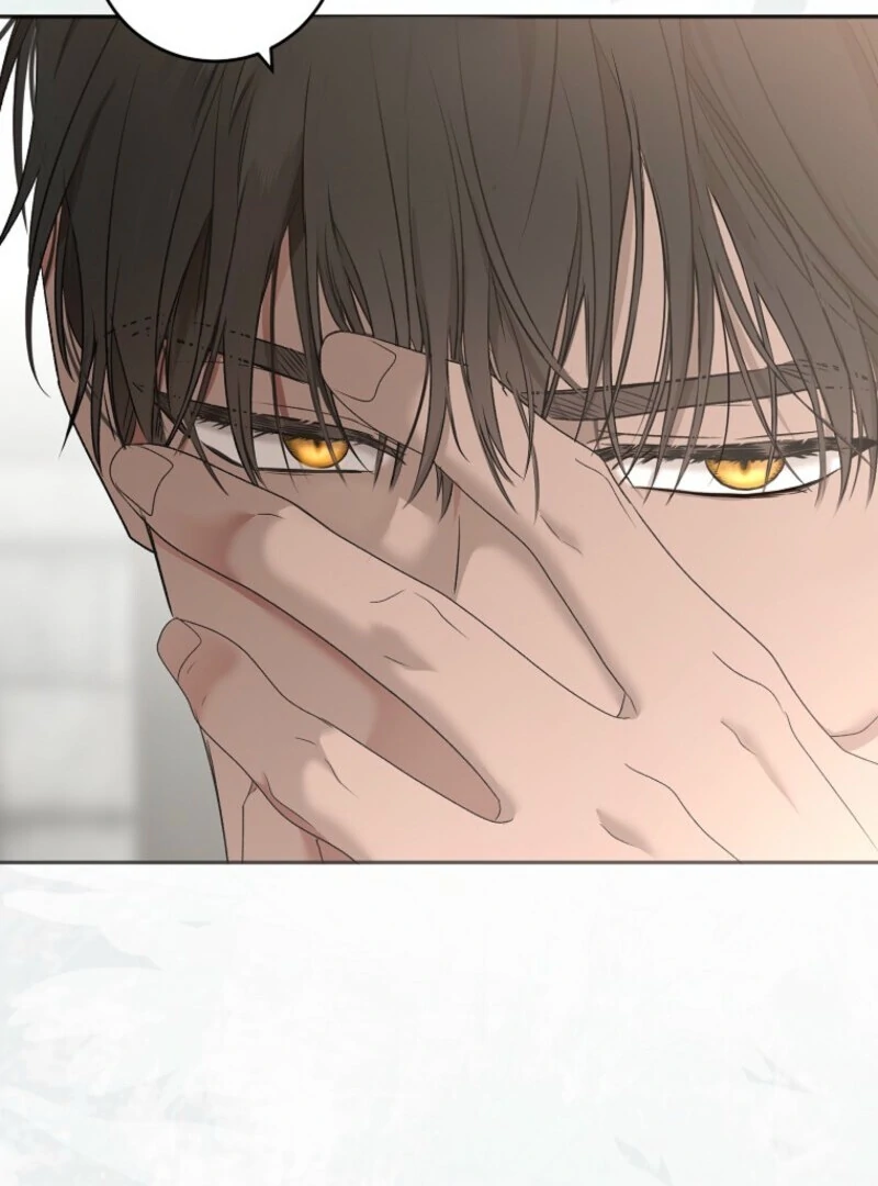 It Looks Like I’ve Fallen Into the World of a Reverse Harem Game Chapter 157 - Page 132