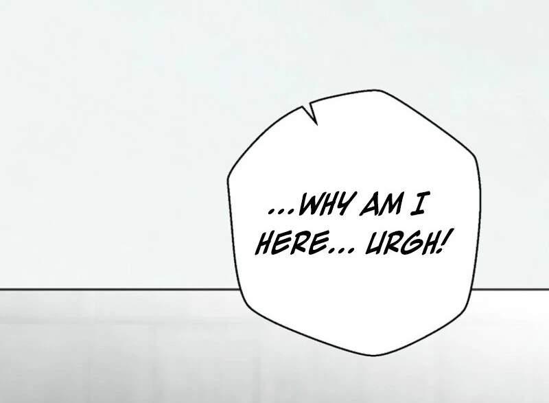 It Looks Like I’ve Fallen Into the World of a Reverse Harem Game Chapter 157 - Page 135