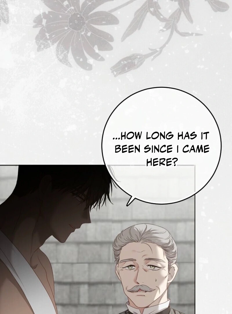 It Looks Like I’ve Fallen Into the World of a Reverse Harem Game Chapter 157 - Page 141