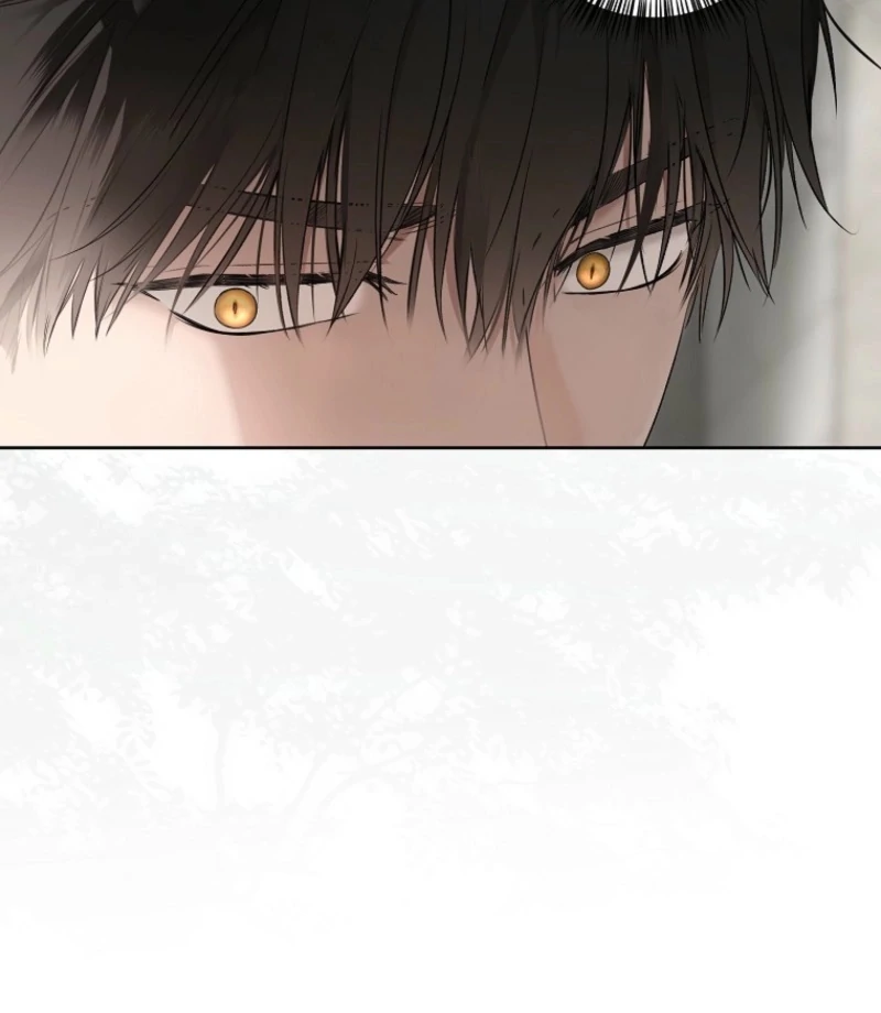 It Looks Like I’ve Fallen Into the World of a Reverse Harem Game Chapter 159 - Page 42