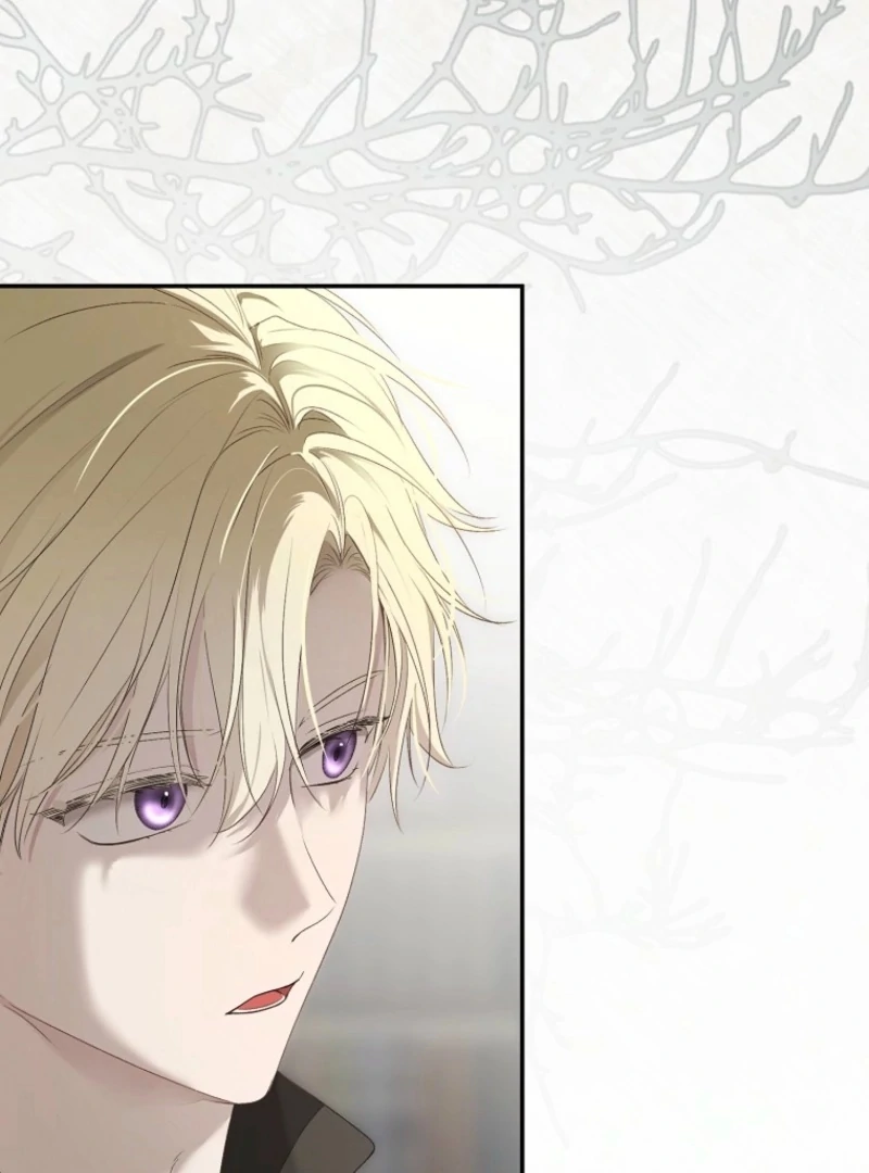 It Looks Like I’ve Fallen Into the World of a Reverse Harem Game Chapter 161 - Page 5