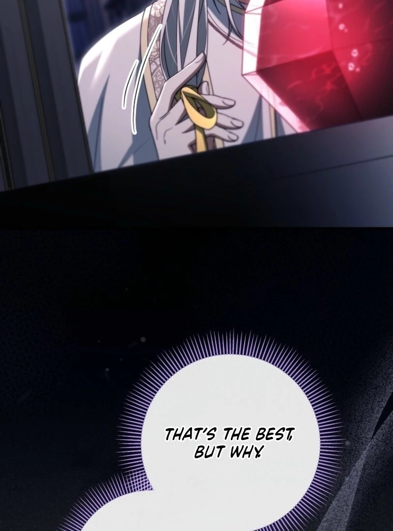 It’s My Destiny to Be the Hero’s Saviour Chapter 150 - Page 135