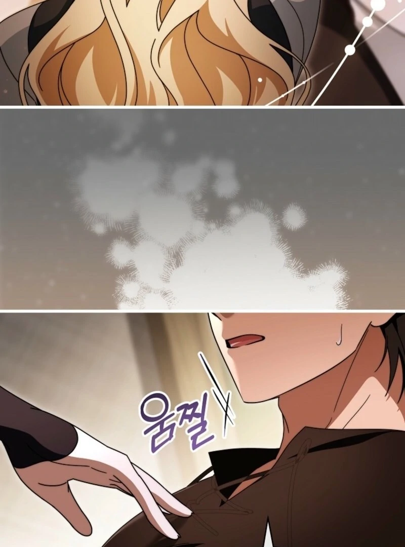 It’s My Destiny to Be the Hero’s Saviour Chapter 150 - Page 46