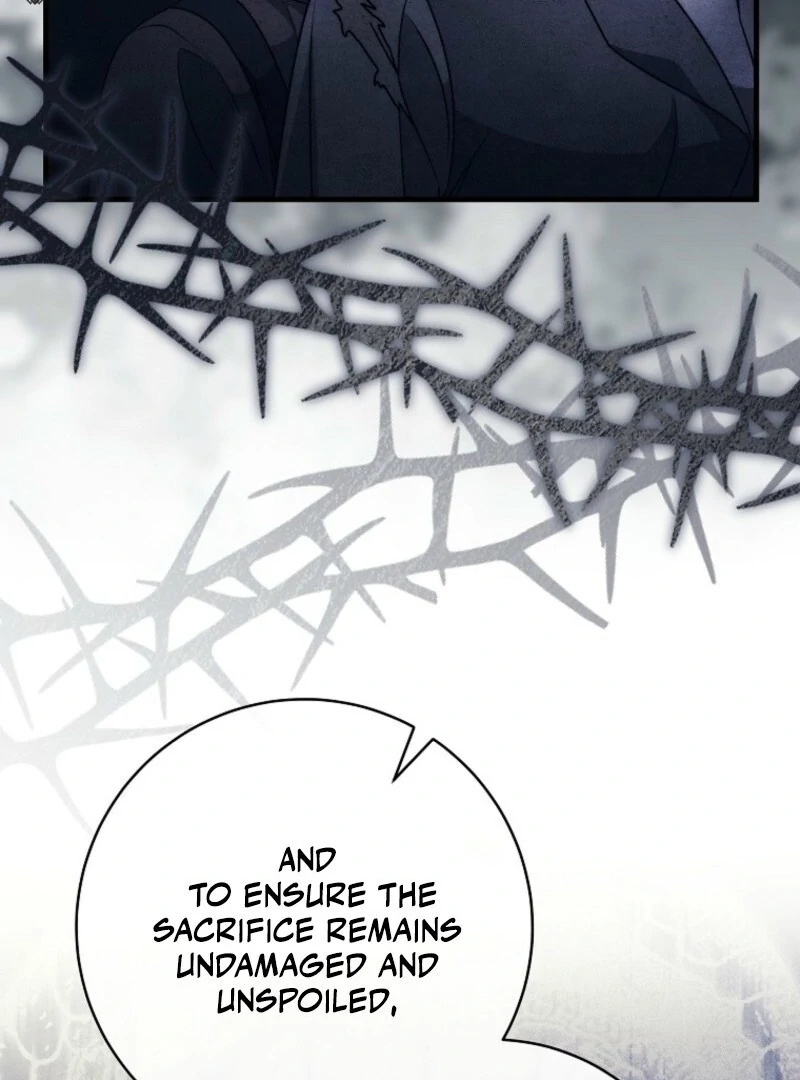 It’s My Destiny to Be the Hero’s Saviour Chapter 153 - Page 81