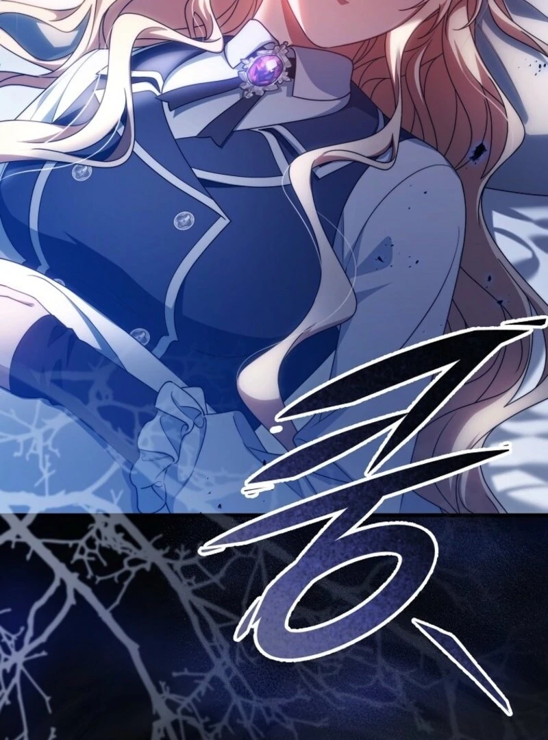 It’s My Destiny to Be the Hero’s Saviour Chapter 155 - Page 149