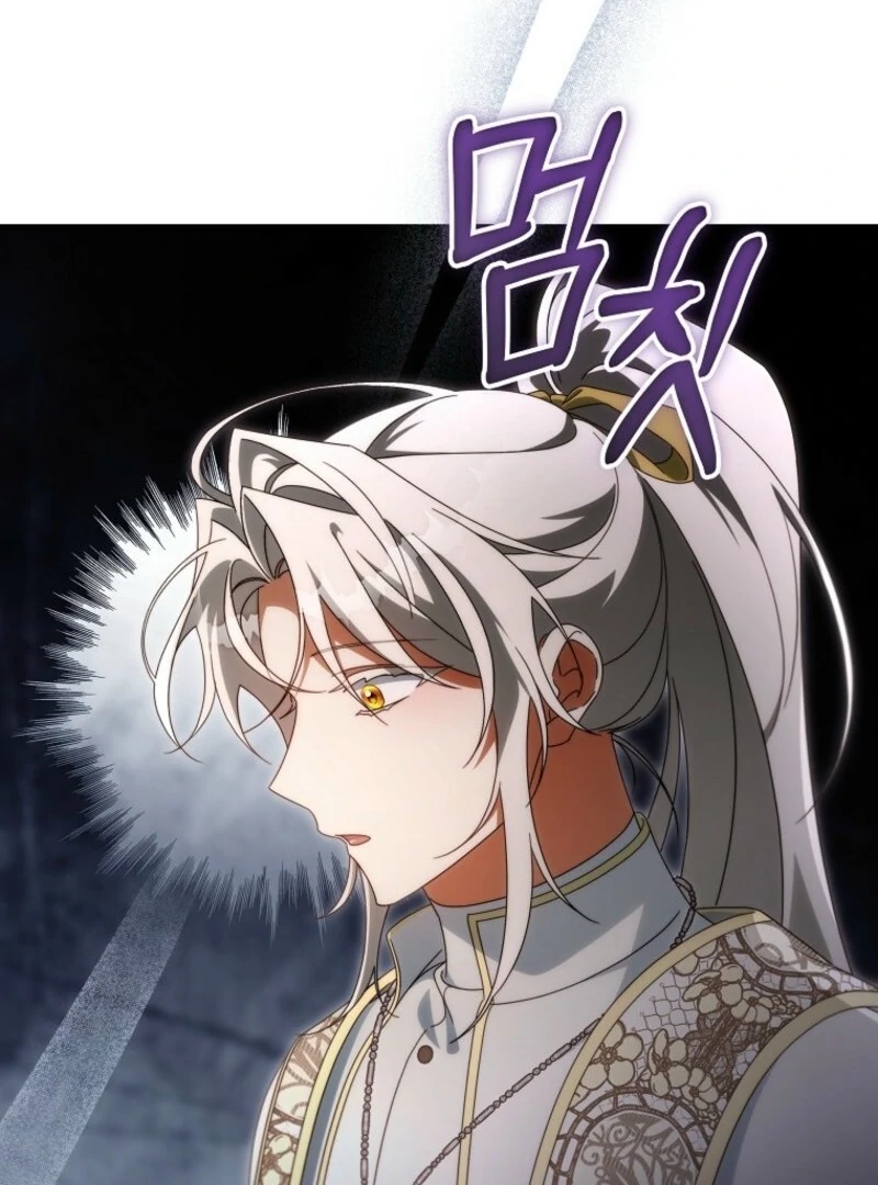 It’s My Destiny to Be the Hero’s Saviour Chapter 157 - Page 25