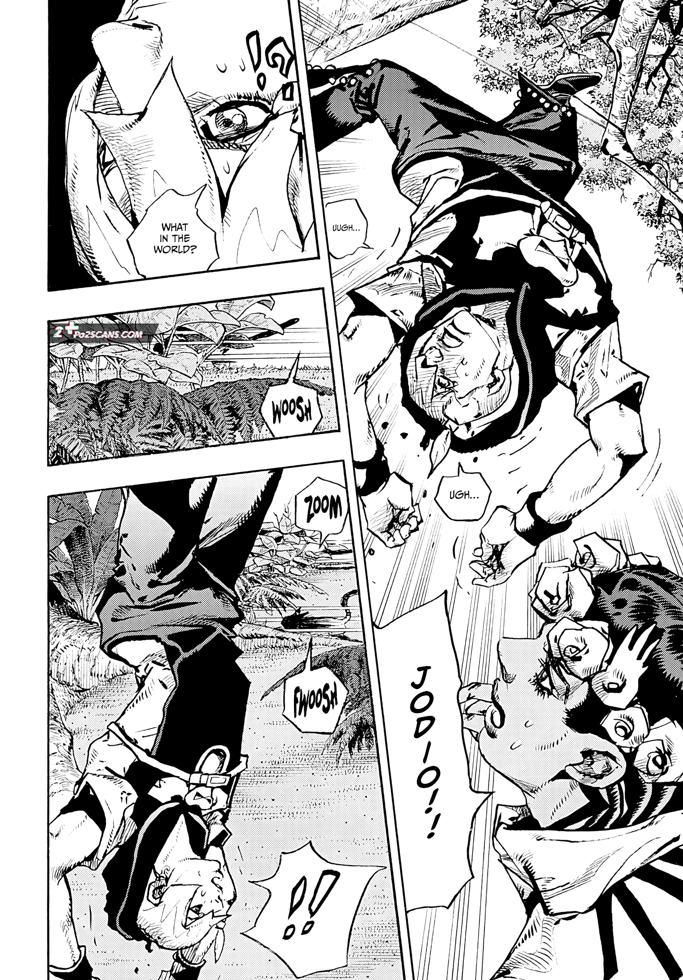 JoJo’s Bizarre Adventure Part 9 – The JOJOLands Chapter 6 - Page 14