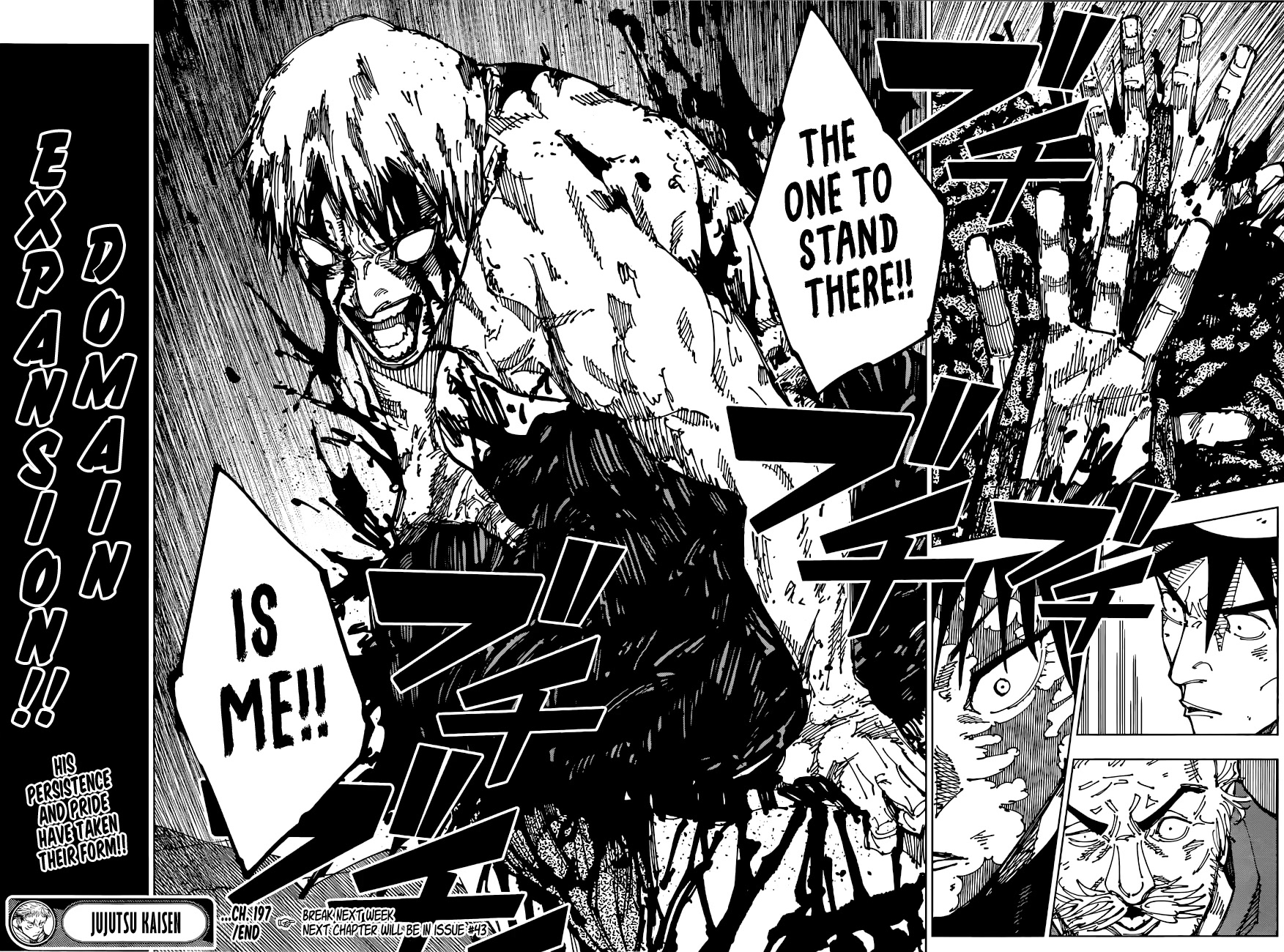 Jujutsu Kaisen Chapter 197 - Page 17