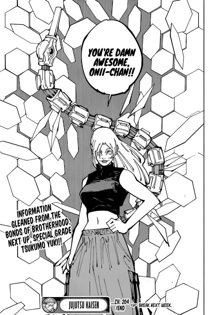 Jujutsu Kaisen Chapter 204 - Page 19