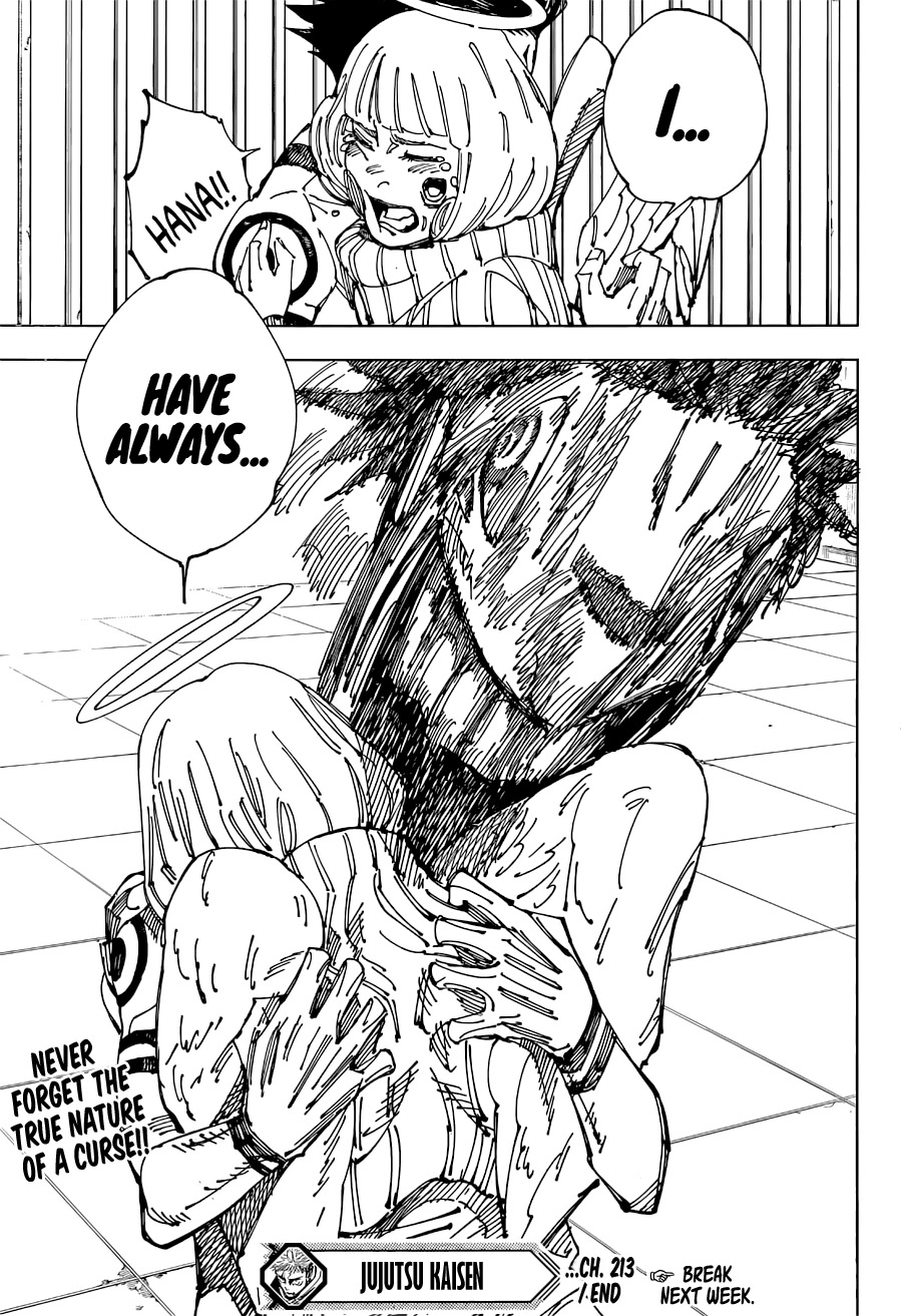 Jujutsu Kaisen Chapter 213 - Page 16