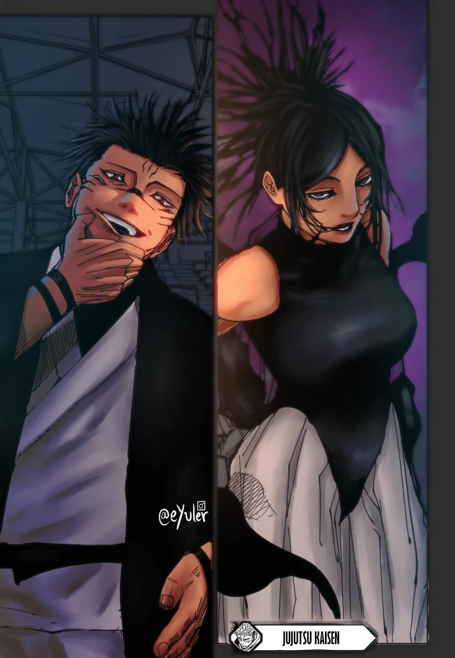 Jujutsu Kaisen Chapter 216 - Page 24