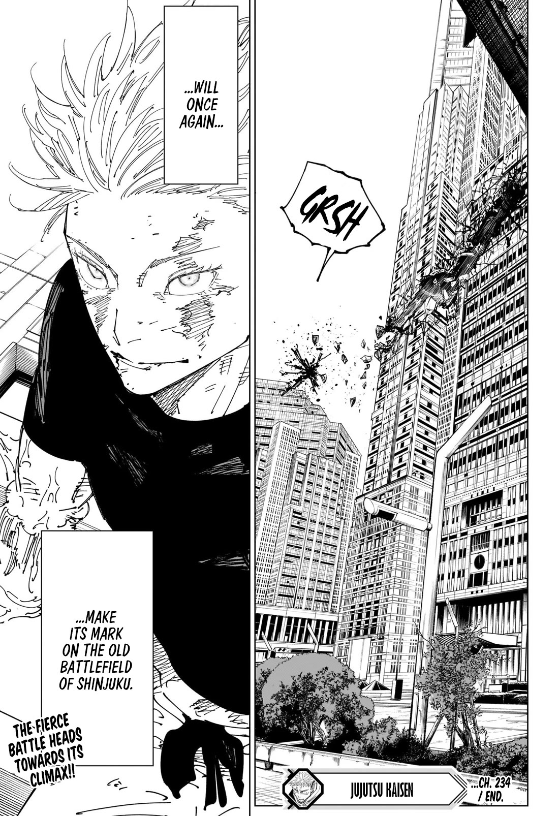 Jujutsu Kaisen Chapter 234 - Page 19