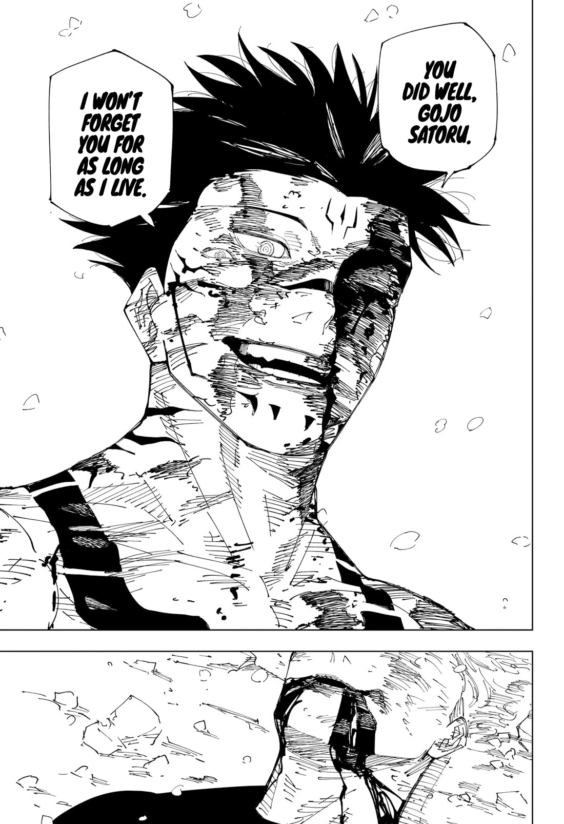 Jujutsu Kaisen Chapter 236 - Page 17