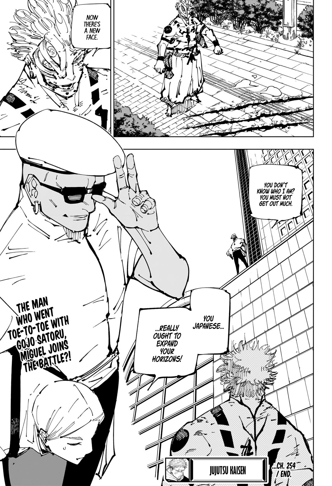 Jujutsu Kaisen Chapter 254 - Page 19