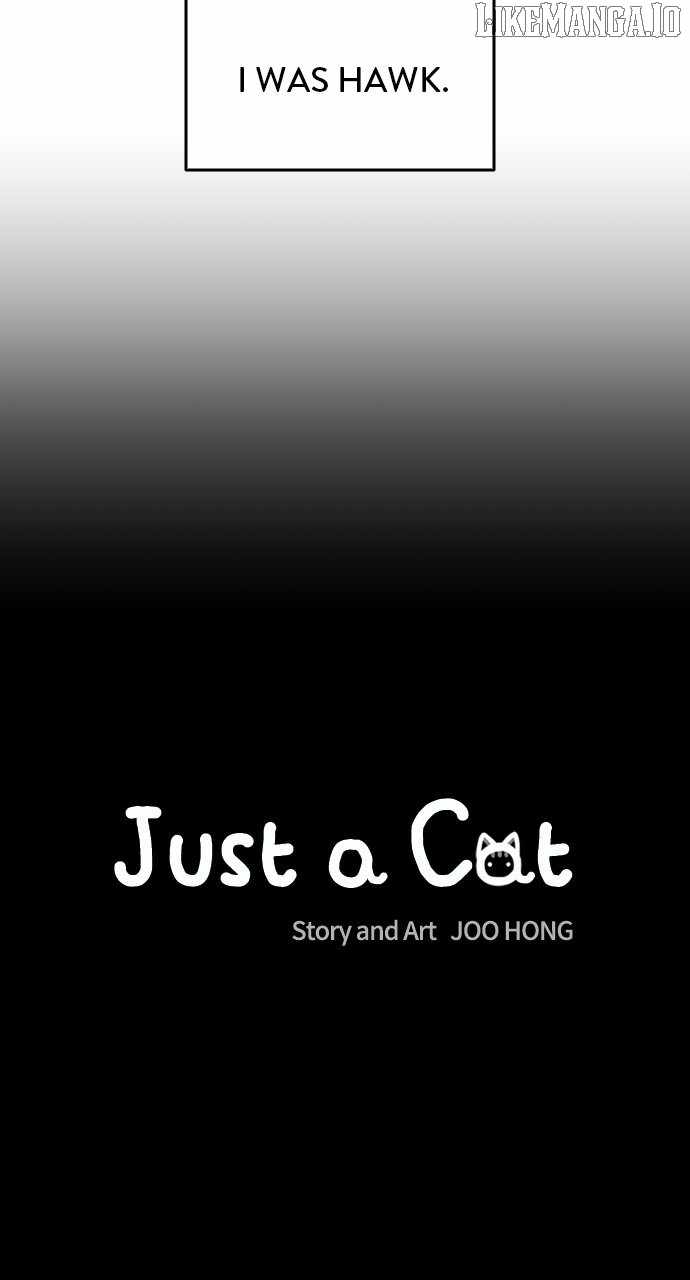 Just a Cat Chapter 23 - Page 19