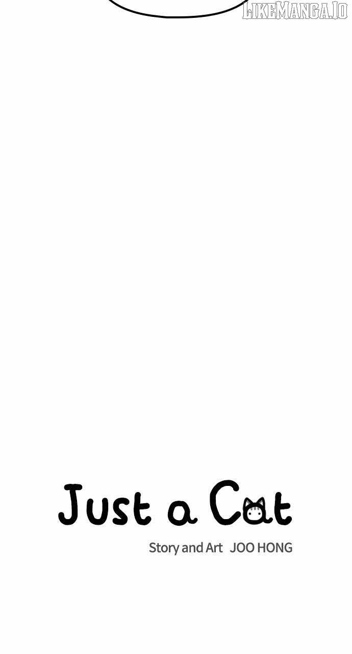 Just a Cat Chapter 26 - Page 20