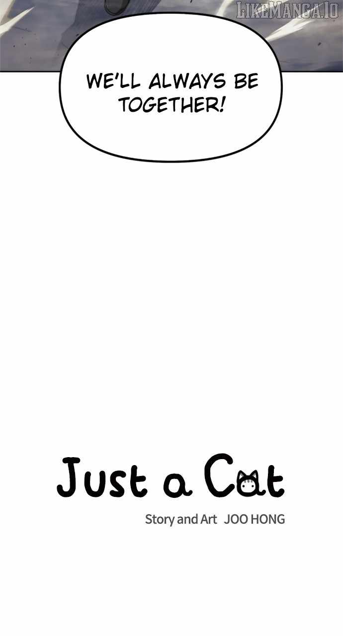 Just a Cat Chapter 27 - Page 7