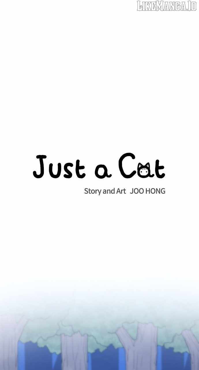 Just a Cat Chapter 28 - Page 13