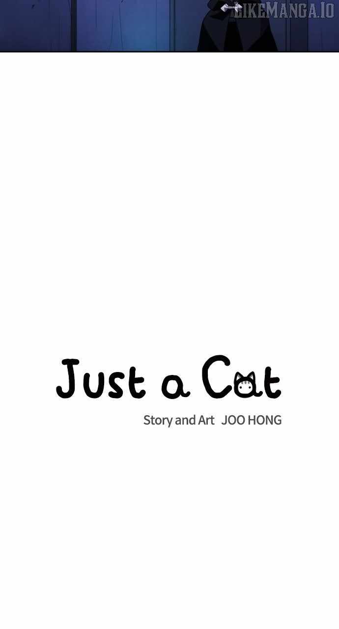 Just a Cat Chapter 29 - Page 11