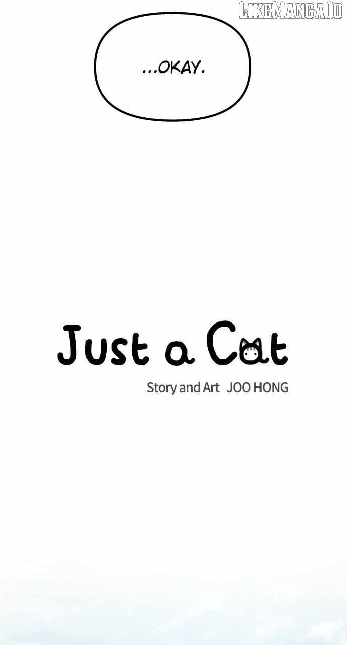 Just a Cat Chapter 30 - Page 18