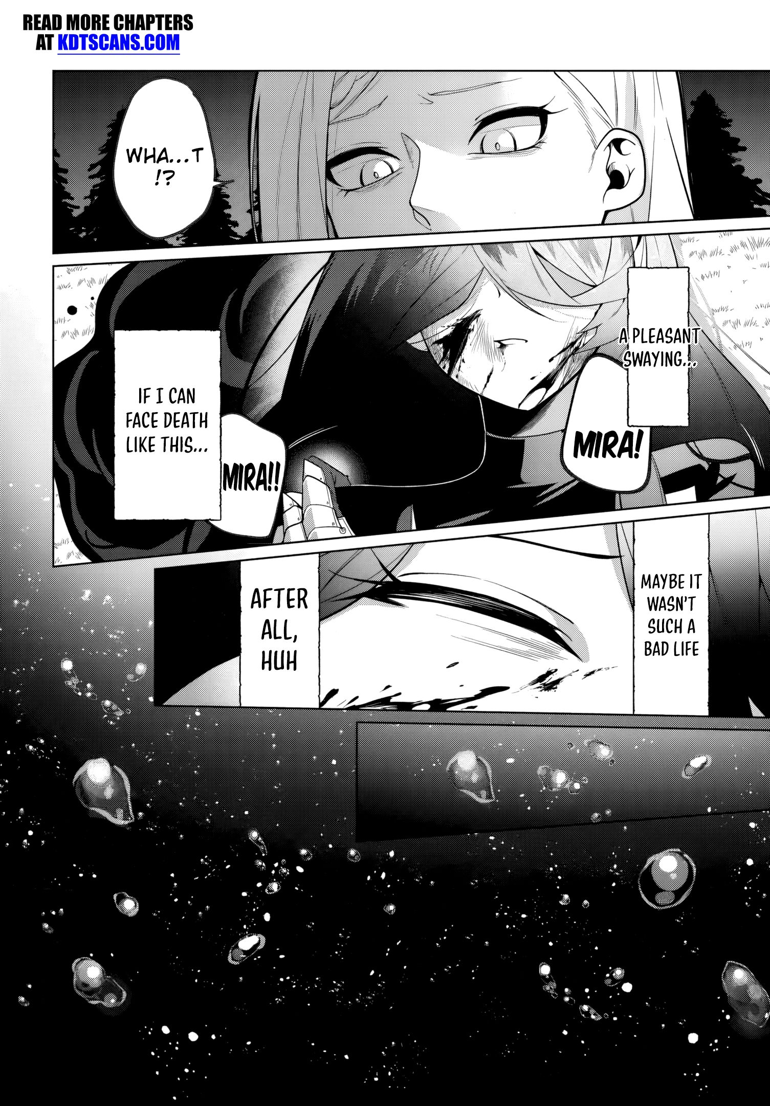Katsute no Ansatsusha ha Raise de Chigau Ikikata wo Chapter 1.1 - Page 17