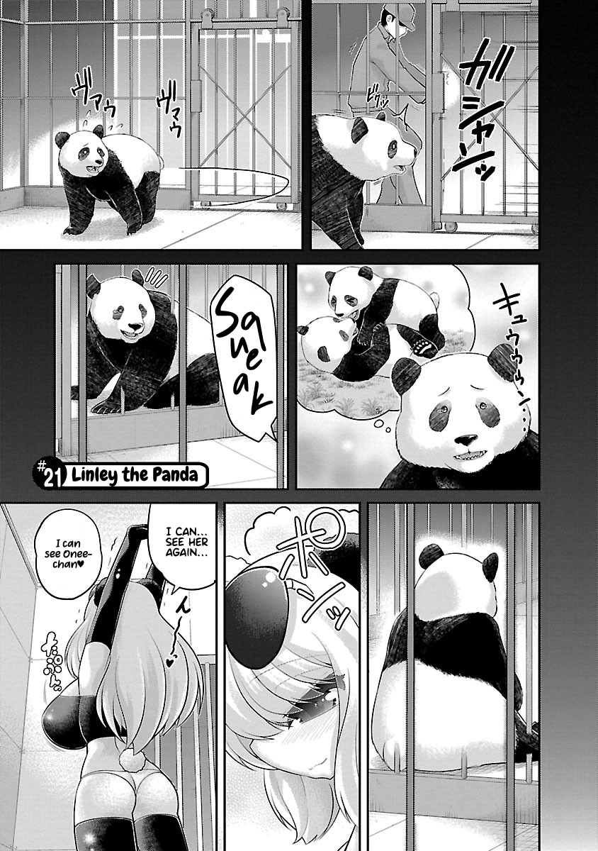 Kemokko Dobutsuen! Chapter 21 - Page 1
