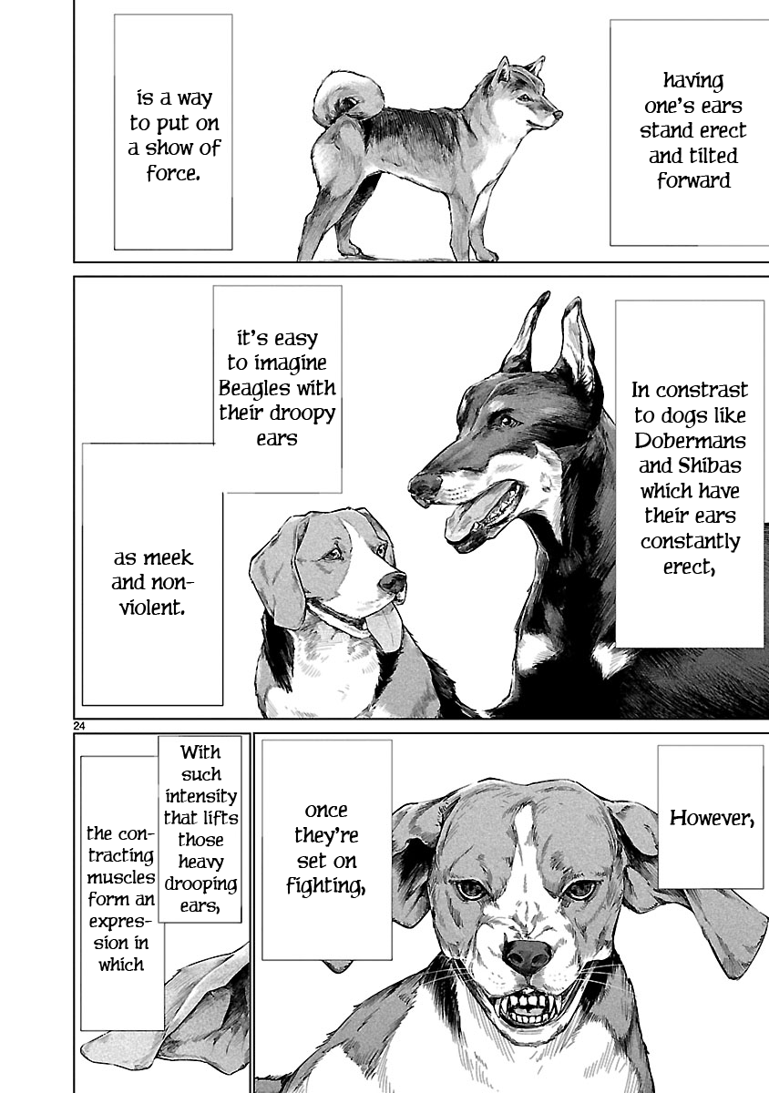 Killing Bites Chapter 66 - Page 23