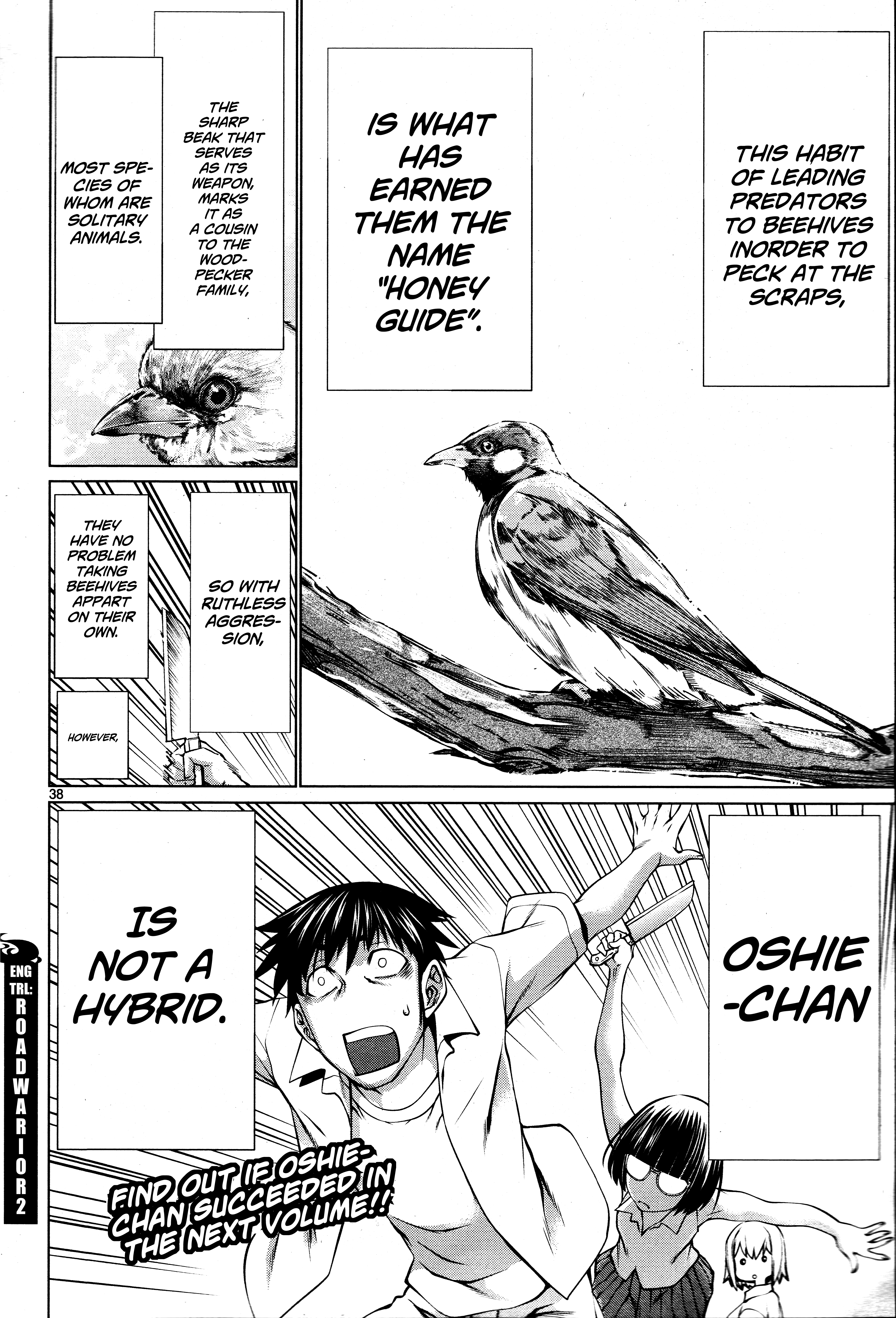 Killing Bites Chapter 69 - Page 37