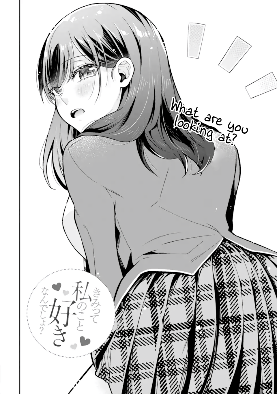 Kimitte Watashi no Koto Suki Nandesho? Chapter 13.1 - Page 2
