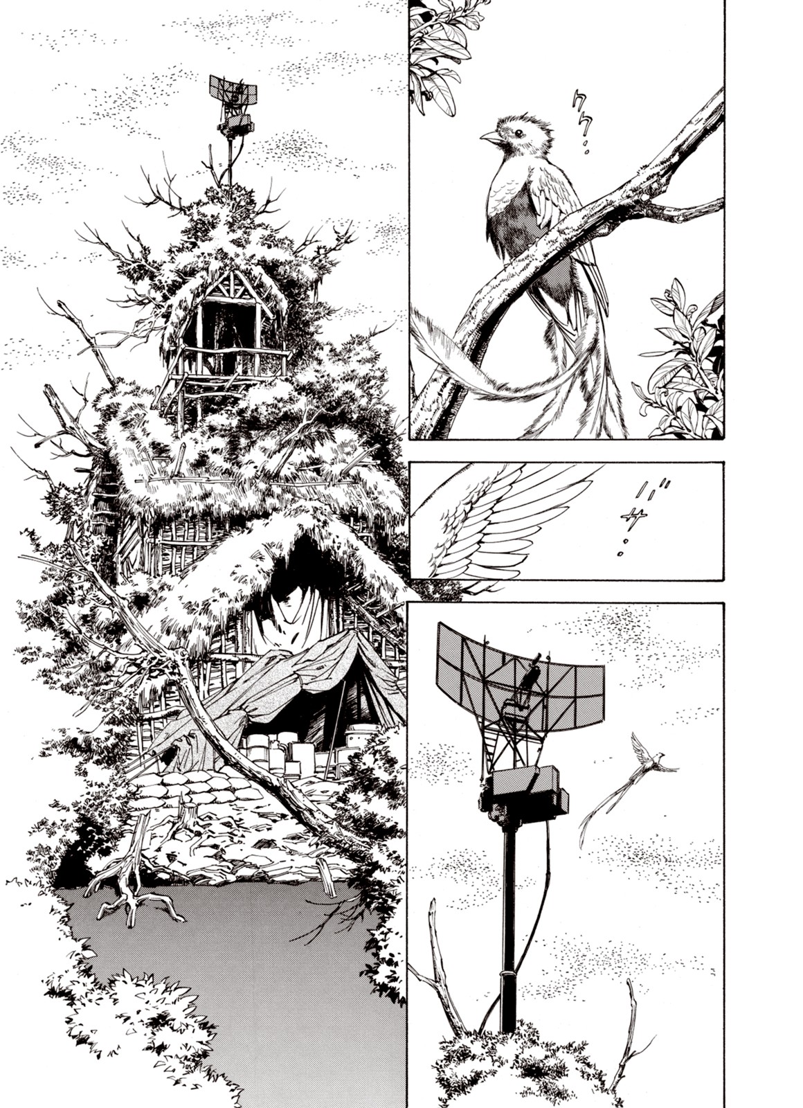 Kouya ni Kemono Doukokusu Chapter 50 - Page 14