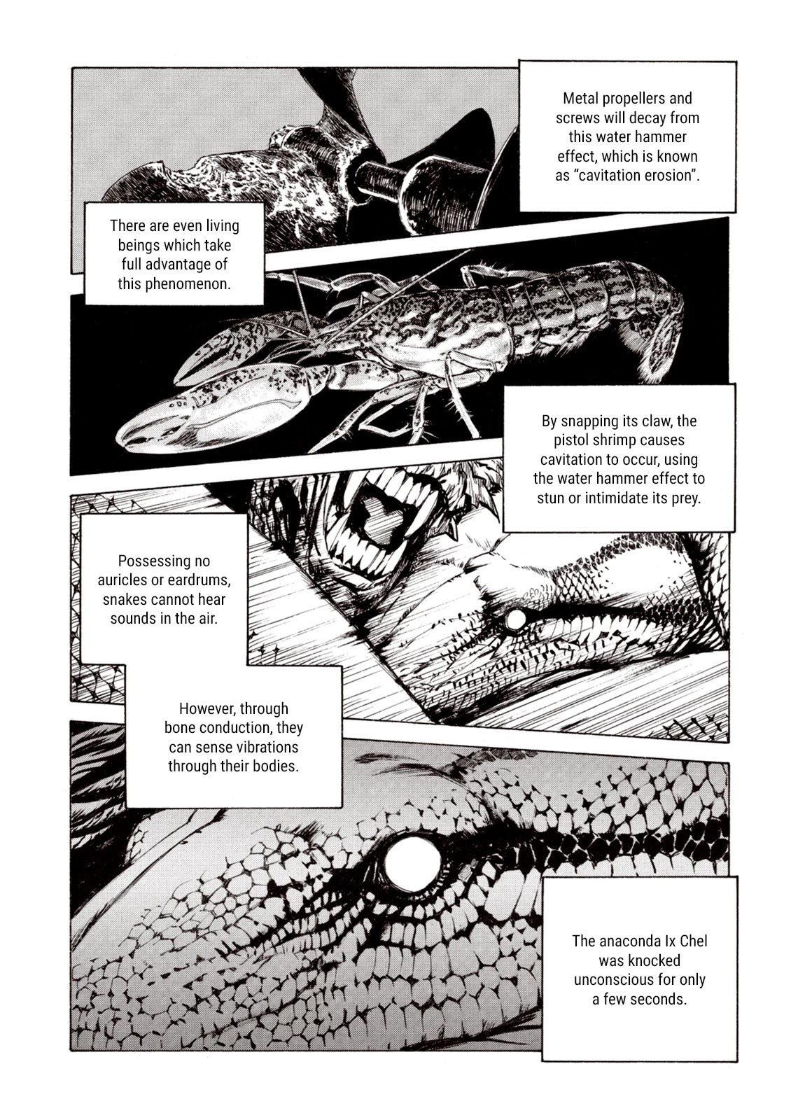 Kouya ni Kemono Doukokusu Chapter 80 - Page 24