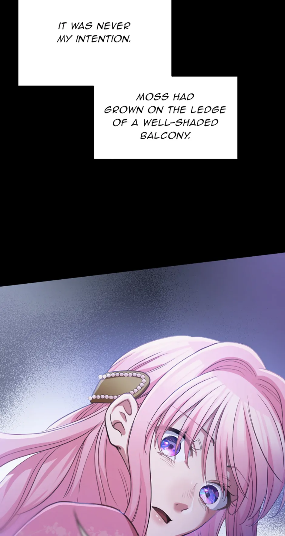 Lady of Iron Wall Chapter 61 - Page 24